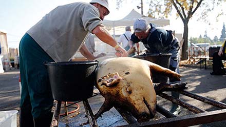 2017. 2. nap - Disznóvágás bemutató