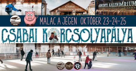 Malac a jégen a Rendezvénypajtában