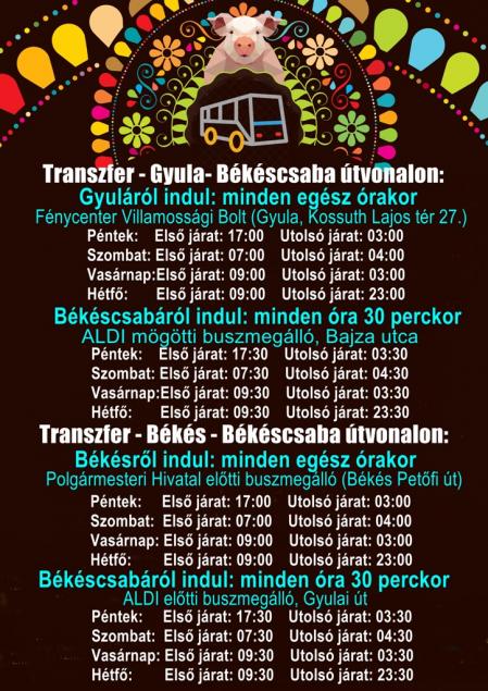Gyertek busszal! Gyula - Csaba - Békés vonalon a fesztivál ideje alatt!